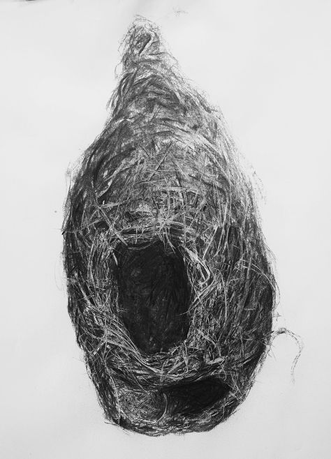 Birds Nest Drawing, Nest Drawing, Weaver Bird Nest, Eggs Illustration, Weaver Bird, Charcoal Artwork, Birds Nests, Camo Wallpaper, Bird Nests