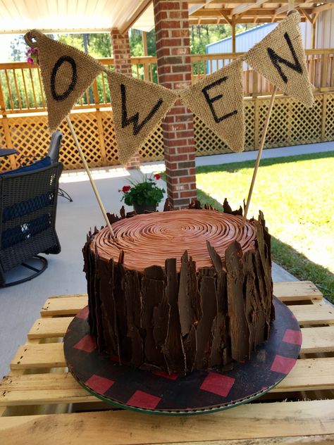 Lumberjack Birthday Cake, Wild One Lumberjack First Birthday, Lumberjack First Birthday Cake, Wild One Birthday Decorations, Lumberjack First Birthday, Lumberjack Cake, Birthday Tree, Lumberjack Birthday Party, Lumber Jack