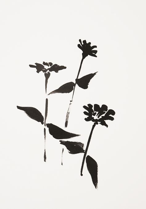 2018 · botanical study · "zinnia #1" by Veronique Gambier · #flower is #artist #zinnia #garden #summer #flower #sumiink #painting #art #blackink #black #ink #blackflower #contemporarydrawing #figurativeart Botanical Study, Zinnia Garden, Muster Tattoos, Sumi Ink, Black Ink Tattoos, Arte Inspo, Mini Tattoos, Get A Tattoo, Pretty Tattoos