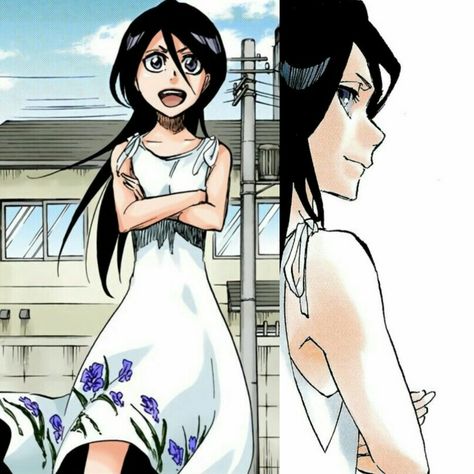 Rukia Kuchiki Long Hair, Rukia And Byakuya, Kubo Art, Bleach Pfp, Bleach Girls, Ichigo X Rukia, Rukia Bleach, Bleach Rukia, Ichigo Y Rukia