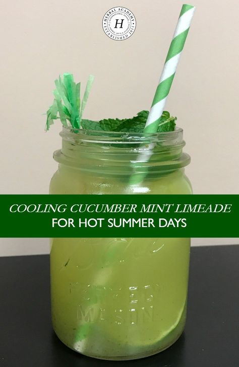 Cooling Cucumber Mint Limeade recipe! Cava Cucumber Mint Lime Drink, Copycat Cava Cucumber Mint Drink, Cava Cucumber Mint Drink, Cucumber Limeade Recipe, Aqua Frescas, Mint Limeade Recipe, Cucumber Limeade, Mint Limeade, Mint Ideas