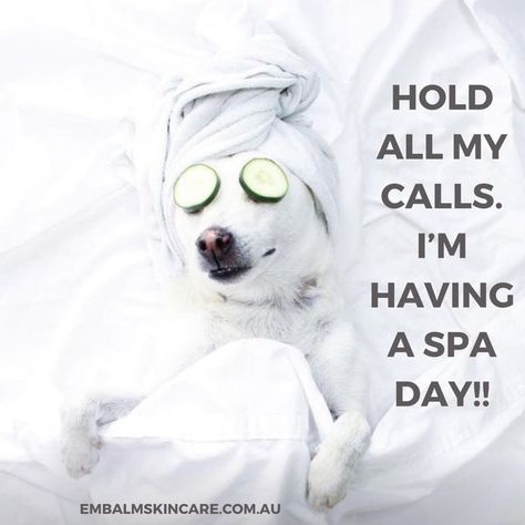 Spa Day Quotes, Spa Promo, Makeup Quotes Funny, Spa Quotes, Spa Photos, Esthetician Quotes, Spa Life, Makeup Order, Esthetician Room