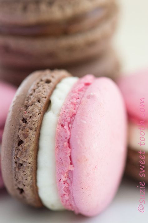 neapolitan macaron recipe  Well, shit. It looks like I need a stand mixer. And a candy thermometer. And a kitchen. White Macaroons, Macarons Macaroons, Neapolitan Ice Cream, Macaron Flavors, Macaron Cookies, French Macaroons, Macaroon Recipes, Macaron Recipe, Chocolate Strawberry