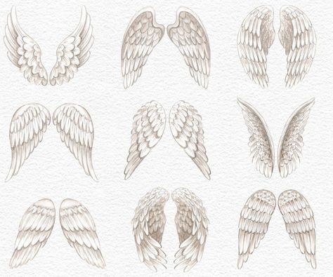 Angel Wing Sketch, Swan Wings Drawing, Swan Wings Tattoo, Angle Wings Draw, Wings Aesthetic Angel, Angel Wing Aesthetic, Baby Angel Drawing, Angel Wing Drawing, Watercolor Angel Wings