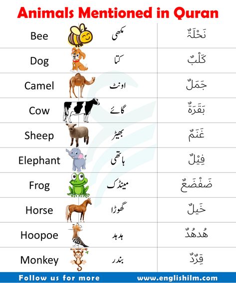 Animal Name In Arabic, Animals Name In Urdu, Arabic Vocabulary Words, Animals In Islam, Arabic Animals, Animals Name List, Urdu Learning, Picture Vocabulary, Animals Name In English