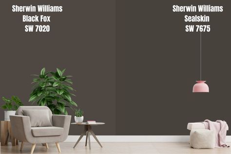 Urbane Bronze Vs Black Fox Sherwin Williams, Black Fox Paint Sherwin Williams, Iron Ore Vs Black Fox Sherwin Williams, Black Fox Vs Urbane Bronze Paint, Blackfox Sherwin Williams, Sherwin Williams Sealskin Exterior, Sw Sealskin Exterior, Seal Skin Sherwin Williams, Sw Black Fox Paint