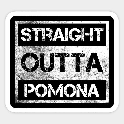 Sunnyvale California, Elizabeth New Jersey, Joliet Illinois, Pomona California, Kenosha Wisconsin, Naperville Illinois, San Bernardino California, Inglewood California, Newark New Jersey