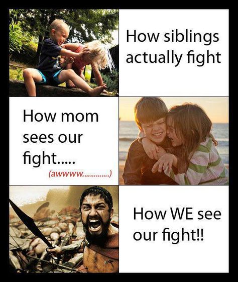 Amoeba WARS!!!!  This doesn't belong on your wedding board, but...whatever...this way you see it. Lol So True, Sibling Rivalry, Good Parenting, Look At You, Mom Humor, Bones Funny, The Words, Funny Photos, I Laughed