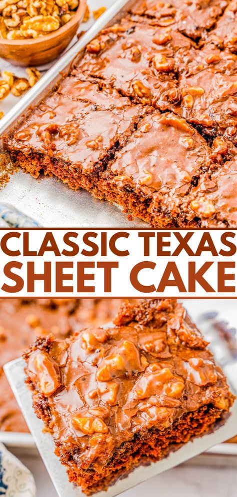 Texas Sheet Cake –  An EASY no-mixer recipe for classic Texas sheet cake that's so rich in chocolate flavor thanks to the moist chocolate cake itself and to the chocolate frosting with walnuts for a bit of crunch in every bite! Ready in less than 1 hour, and it feeds a crowd, making this a perfect party or celebration cake any time of year! Old Fashioned Texas Sheet Cake, Cake Sheet, Cake Recipes For Beginners, Texas Sheet Cake Recipe, Texas Sheet, Averie Cooks, Texas Sheet Cake, Dessert Recipies, Best Sweets