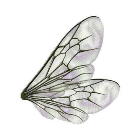 tubes ailes ❤ liked on Polyvore Cottagecore Icons, Wings Png, Insect Wings, Collage Art Projects, Png Aesthetic, Homescreen Layout, Png Icons, Phone Icon, Doll Parts