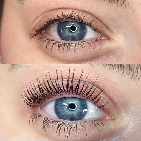 Elleebana Lash Lift, Lash Perm, Student Exam, Social Media Course, Product Innovation, Student Numbers, Lash Lifting, Lash Tools, Beauty Therapist