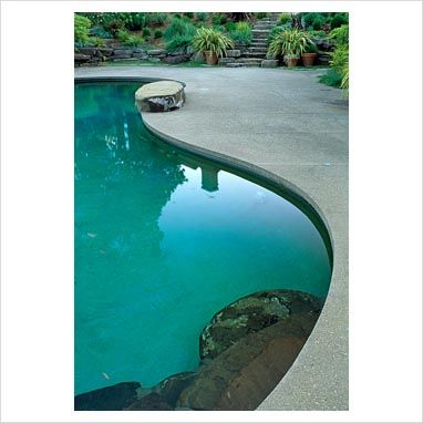 Curved Pool, California Contemporary, Pool Cabana, Pool Coping, Modern Pools, Plant Photography, Steel House, Curved Lines, Pool Designs