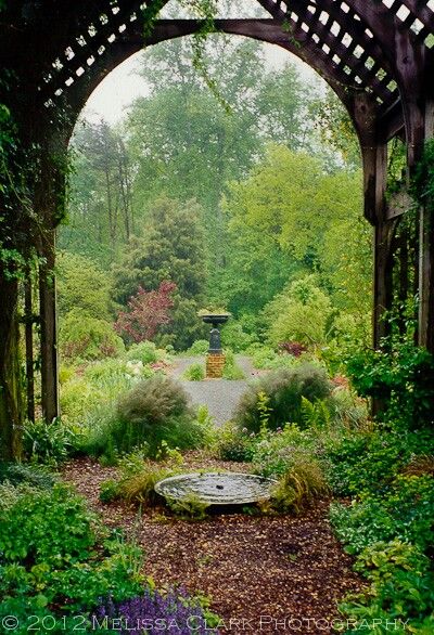 lath house at Montrose Gardens ca. 1992 Hillsborough North Carolina, Shade House, Small Water Features, Garden Water Feature, Famous Gardens, Landscape Designer, Forest Garden, Love Garden, Weekend Trip