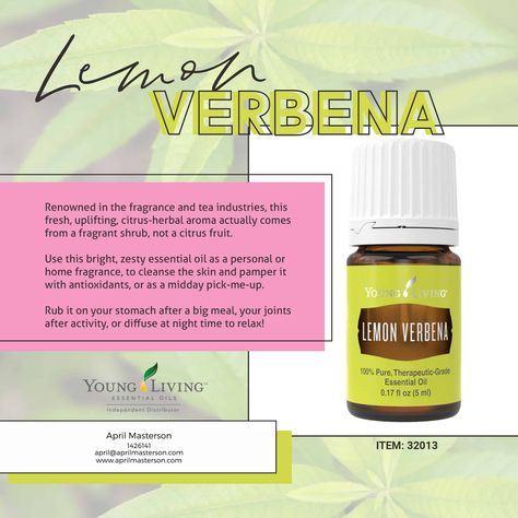 Lemon Verbena Uses, Lemon Verbena Essential Oil, Young Living Lemon, Purification Essential Oil, Copaiba Essential Oil, Lemon Verbena, Young Living Essential Oils, Citrus Fruit, Pure Essential Oils