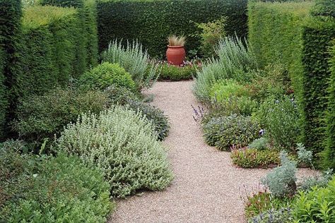 herbs grow along a path surrounded by topiary hedgesengland Hedge Ideas, Paver Sand, Garden Hedges, Backyard Walkway, Gravel Path, Organic Mulch, This Old House, Mediterranean Garden, Flowers Wallpaper