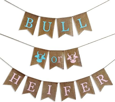 Bulls And Heifers Gender Reveal, Rodeo Gender Reveal Ideas, Gender Reveal Cow Theme, Bull Or Heifer Gender Reveal, Farm Gender Reveal, Gender Reveal Boy, Cow Baby Showers, Gender Reveal Party Theme, Gender Reveal Themes