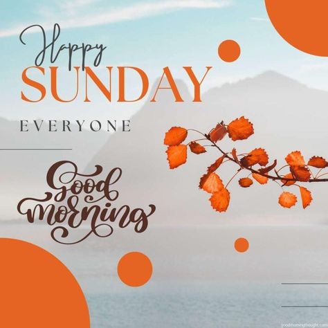 Happy Sunday Coffee, Weekday Motivation, Sunday Greetings, Sunday Coffee, Favorite Questions, Happy Sunday Everyone, Sunday Quotes, Morning Greetings, Jewelry Images