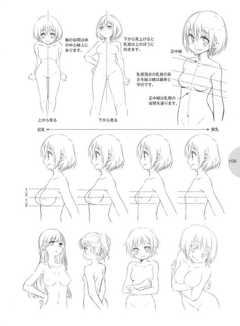 Drawing Anime Bodies, Female Anatomy Reference, Drawing Female Body, Manga Tutorial, Human Anatomy Drawing, Body Drawing Tutorial, Art Kawaii, 캐릭터 드로잉, Concept Art Drawing