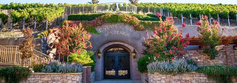 Napa Valley Spa | Meritage Resort & Spa – Spa | Spas in Napa CA Napa Valley Spa, Tranquil Spa, Spa Specials, Spa Packages, Napa Ca, Resort And Spa, Spa Services, Luxury Packaging, Spa Experience