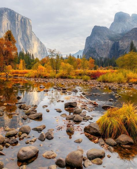 Fall in Yosemite Valley 🍁 The colors, crisp air, and stunning landscapes make this season absolutely magical in the park. Have you experienced Yosemite in the fall? 📸 @glennleerobinson #yosemitevalley #yosemite #yosemitenationalpark #autumnvibes #fallcolors #naturelovers #hikingadventures #explorecalifornia #adventureawaits #outdoorlife #beautifuldestinations #wanderlust #optoutside #getoutside #scenicviews #nationalparks #falladventures #naturephotography #californiadreaming #mountainview... Crisp Air, Yosemite Valley, G Adventures, California Dreaming, Wanderlust Travel, Yosemite National Park, Outdoor Life, Get Outside, In The Fall