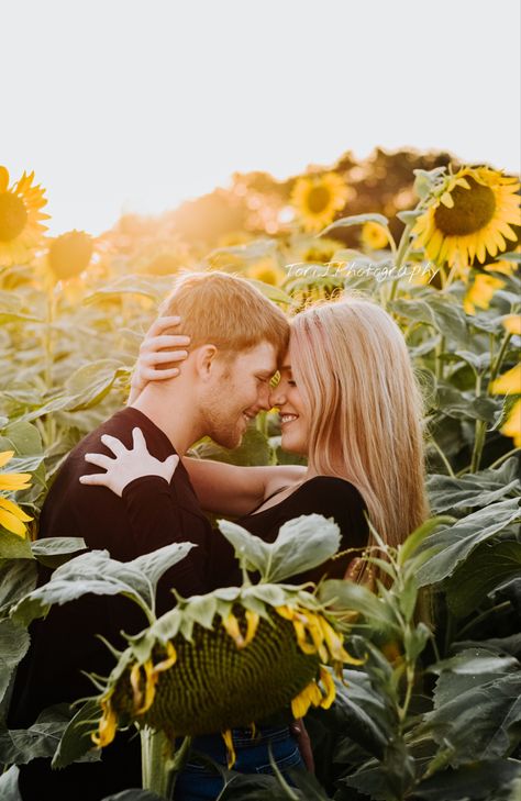 Sunflower Field Photography, Sunflower Field Pictures, Sunflower Patch, Sunflower Photography, Bouidor Photography, Sunflower Photo, Sunflower Pictures, Romantic Couples Photography, Sunflower Field