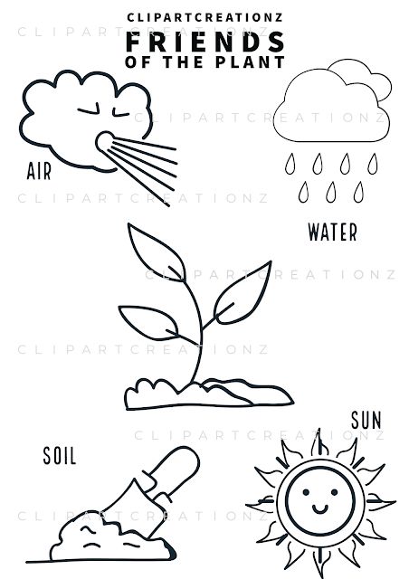 Friends of plant coloring clipart Plants Life Cycle Activities, Plant Life Cycle Worksheet, Plant Lessons, Animal Crafts Preschool, How Plants Grow, Plants Worksheets, Plant Clipart, Dot Letters, Planting For Kids