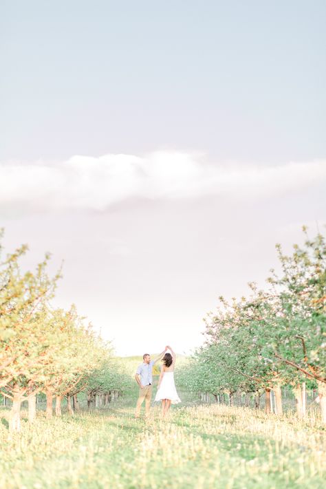 Apple Orchard Engagement Photoshoot, Engagement Photos Apple Orchard, Apple Orchard Photoshoot Couple, Orchard Engagement Photos, Apple Picking Photoshoot Couple, Apple Orchard Engagement Photos, Apple Orchard Photography, Apple Orchard Pictures, Orchard Photoshoot