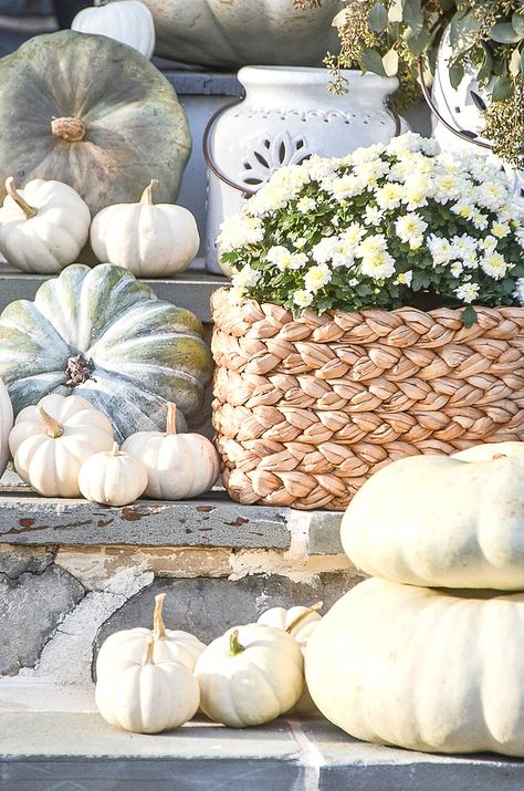 A white-out of pumpkins creates a pretty and attention grabbing fall front porch. Get tips to create pretty outdoor fall decorating #fall #falldecor #pumpkins #autumnideas #falldiy #fallporch #whitepumpkins #mums #stonegable White Mums, Porch Pumpkins, Fall Vignettes, Fall Candy, Fall Decor Inspiration, Fall Arrangements, Fall Garland, Mums Homecoming, Green Pumpkin