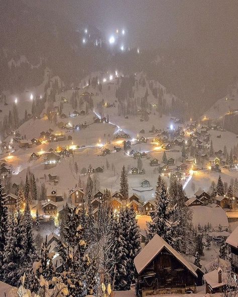 Switzerland, Trees, Christmas