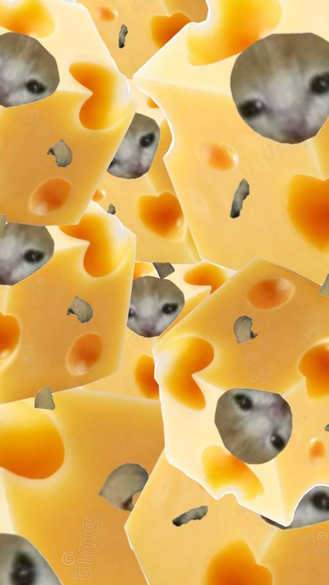 Cheese Cheese Themed Party Decorations, Cheese Pictures, Cheese Aesthetic, Cheese Jokes, I Like Cheese, Pretty Bike, Milk And Cheese, Banner Gif, Cute Names