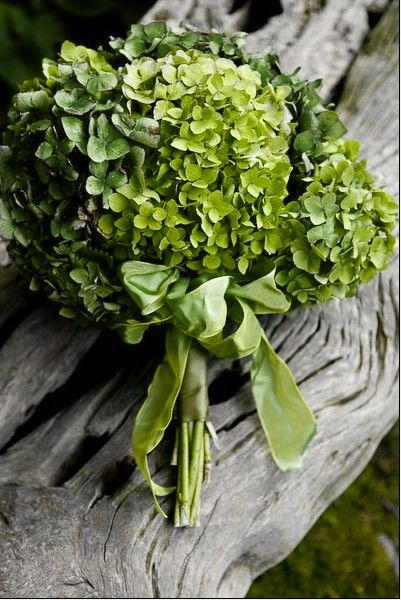 . Hydrangea Shade, Greenery Wedding Bouquet, Green Bouquet, Hydrangea Bouquet, Green Hydrangea, Emerald Wedding, Irish Wedding, Deco Floral, Blue Hydrangea