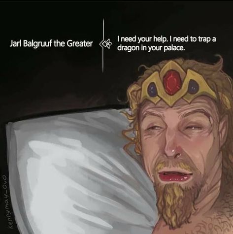 Jarl Balgruuf, The Elder Scrolls, Elder Scrolls, A Dragon, Skyrim, The Dragon, Wake Up, Internet, Memes