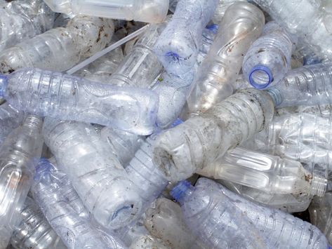 Engineered 'Super Enzyme' Breaks Down Plastic | Smart News | Smithsonian Magazine Plastic And Environment, Portsmouth University, Recycling Process, Types Of Plastics, Polyethylene Terephthalate, Plastic Animals, Problem And Solution, Plastic Bottle, Plastic Waste