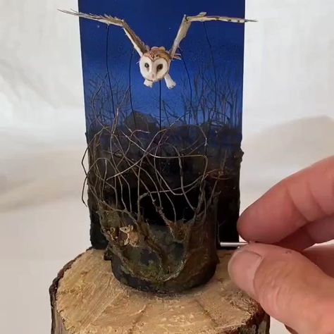 Cult of Weird on Twitter: "Amazing miniature mechanical owl diorama created Penny Thomson https://t.co/a00mN7lChQ… " Owl Diorama, Mechanical Owl, Rush Albums, Mechanical Toys, Tawny Owl, Weird News, Barn Owl, Bottle Opener Wall, Mice