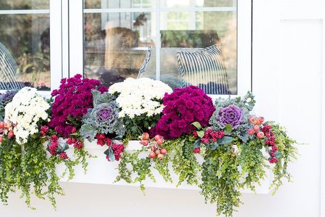 Fall Window Boxes, Fall Windows, Outside Fall Decor, Fall Container Gardens, Fall Containers, Window Box Flowers, Window Planters, Fall Planters, Window Planter Boxes