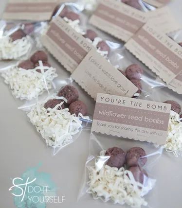 Plant Wedding Favors, Clever Sayings, Spring Board, Trendy Wedding Favors, Youre The Bomb, Free Tag, Seed Starter, Eco Wedding, Farm Crafts