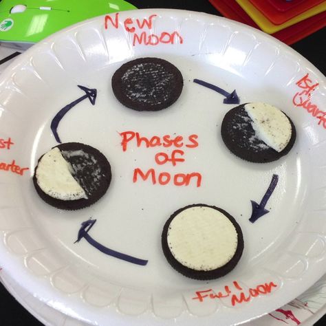 Phases of the moon for 1st grade Moon Activities, Space Lessons, Moon Projects, Sistem Solar, 1st Grade Science, First Grade Science, Space Activities, Phases Of The Moon, Kindergarten Science