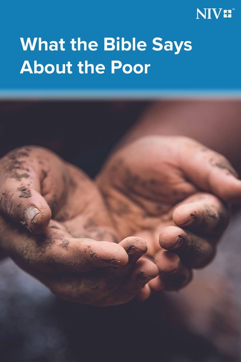 Jesus refused to place a higher priority on meeting the physical needs of the poor than on meeting their spiritual needs. Learn "What the Bible Says About the Poor" published in the NIV Blog. Poor In Spirit, Luke 6, Niv Bible, Bible Says, About Jesus, The Bible, Physics, Spirituality, Bible