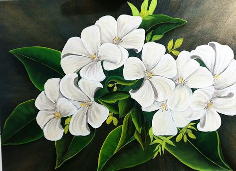 Jasmine Flower Painting Acrylic, Jasmine Flower Painting, Flower Painting On Canvas, Jasmine Flower, Acrylic Painting Flowers, Earth Art, Oil Painting Flowers, Flower Canvas, Happy Paintings