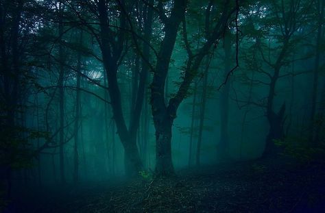 Teal Witch Aesthetic, Deep Teal Aesthetic, Dark Blue And Green Aesthetic, Mononoke Background, Dark Blue Green Aesthetic, Dark Turquoise Aesthetic, Forest Dark Aesthetic, Dark Teal Aesthetic, Forest Dark Green