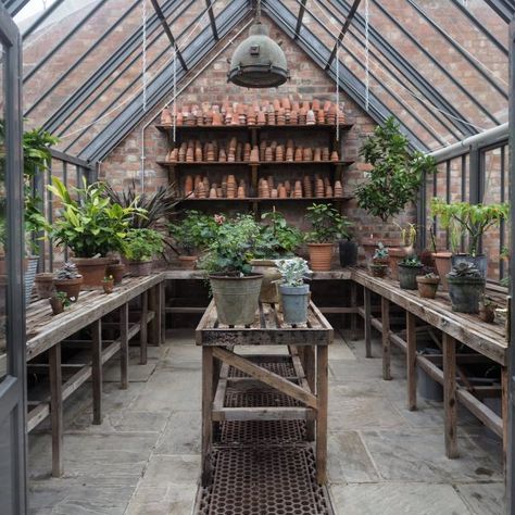 Image result for soho farmhouse Greenhouse Shelving, Greenhouse Decor, Shed Inspiration, Greenhouse Interior, Dream Greenhouse, Soho Farmhouse, Outdoor Greenhouse, Conservatory Garden, Greenhouse Shed