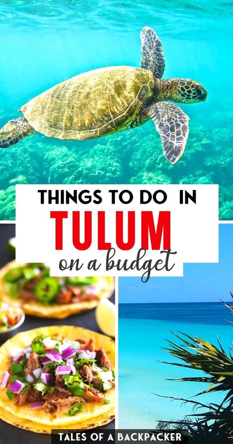 Mexico Itinerary, Tulum Travel Guide, Mexico Beaches, Tulum Travel, Explore Mexico, Mexico Travel Guides, Mexico Travel Destinations, Cheap Things To Do, Mexico Resorts