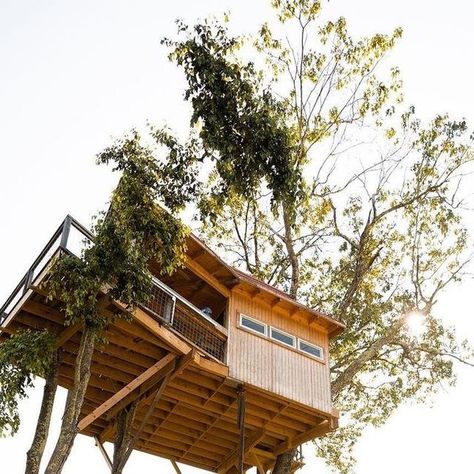 Tiny Homes🏠 on Instagram: "Your thought about this tree house?🏠
Tag someone!❤️
-
-
Follow @tiny_homess for more🏠
-

📍 Raven Rock Treehouse
📷 @journey.more
-
-
______________________________________

#tiny_homess #tinyhome #tinyhousemovement #tinyliving
#homeiswhereyouparkit #tinyhomes #vanlife
#tinyhouselife #tinyhouseliving #tinyhousenation #tinyhouse #architecture #travel #tinyhouses #tinyhouseonwheels
#buslife #tinyhousedesign #cabinlife #diy #tinyhousebuild
#interiordesign #camping #campervan #tinyhouselove
#design #tinyhouse" Tiny House Nation, Bus Life, Tiny House Movement, Cabin Life, Tiny House Living, Tiny House On Wheels, Tiny House Design, Tiny Living, Tiny Homes