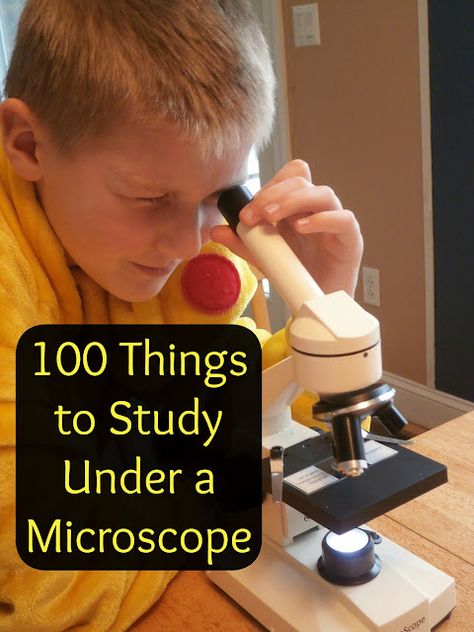 Microscope Activity, Learn Everyday, Microscope Kids, Nature Studies, The Scientific Method, Under A Microscope, Kid Experiments, Microscopes, Science Fair Projects