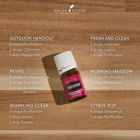 Purification Essential Oil Recipe, Purification Essential Oil Young Living, Purification Oil, Young Living Essential Oil Diffuser, Diffuser Blends Young Living, Purification Essential Oil, Young Living Oils Recipes, Essential Oil Combinations, Essential Oil Diffuser Blends Recipes