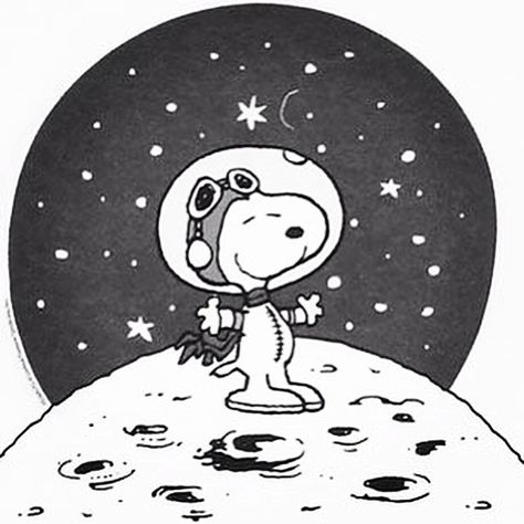 Woodstock Snoopy, Brown Cafe, Snoopy Comics, Peanuts Movie, Vintage Nasa, Peanuts Cartoon, Flying Ace, Snoopy Quotes, Snoopy Pictures