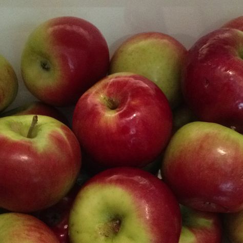 Cortland apples. They are my favorite. They make the BEST apple pies (my secret ingredient) and they are delicious to eat on their own! They smell the best and have a perfect white flesh. We had them growing up in NY and I was able to find them here in So. MD at BJ's. Best Apple Pie, Apple Pie, Pie, Fruit