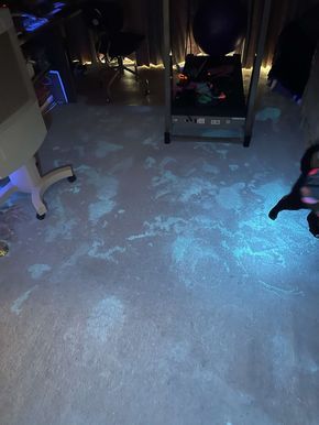 How To Clean Dog Pee Out Of Carpet, How To Get Dog Pee Out Of Carpet, How To Get Pee Smell Out Of Carpet, Pee Stains Out Of Carpet, Dog Pee Smell Out Of Carpet, Dog Pee Out Of Carpet, Pee Out Of Carpet, Dog Pee On Carpet, Pee Smell Out Of Carpet