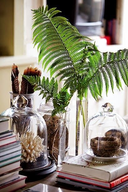 Simple Details: simple summer styling... West Indies Decor, Style Hacienda, Tropical British Colonial, British West Indies Style, West Indies Style, British West Indies, British Colonial Decor, Colonial Interior, Popular Interior Design