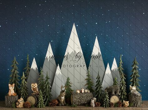 Camping Theme Birthday, Christmas Stage, Adventure Baby Shower, Woodland Birthday Party, Forest Baby, Mountain Decor, Woodland Birthday, Mountain Forest, Diy Photo Booth